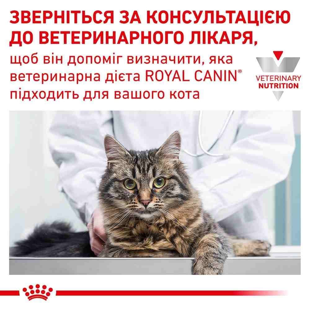 Сухий корм для котів Royal Canin Renal 400 г Сухий корм для котів Royal Canin Renal 400 г