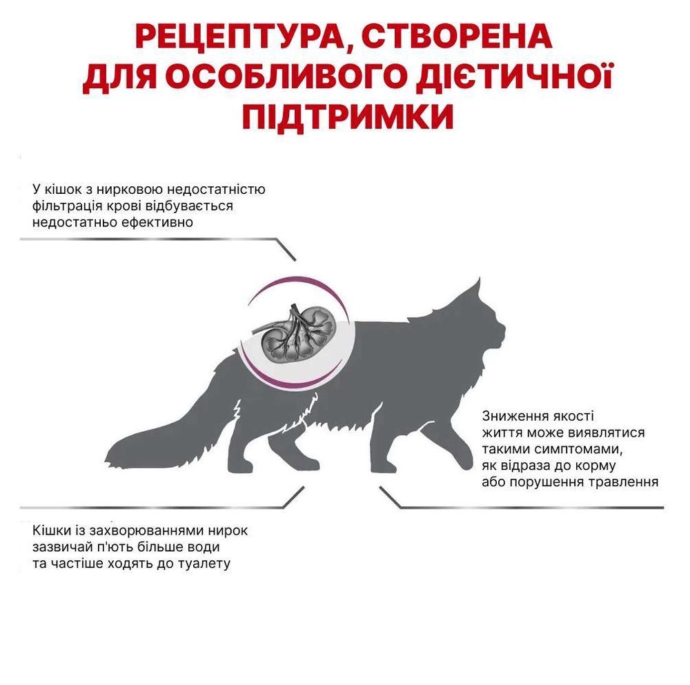 Сухий корм для котів Royal Canin Renal 400 г Сухий корм для котів Royal Canin Renal 400 г