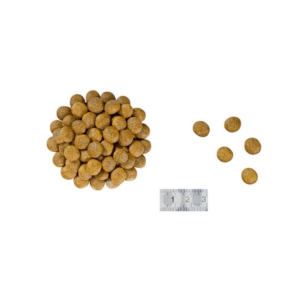 Сухий корм для котів Royal Canin Renal 400 г Сухий корм для котів Royal Canin Renal 400 г