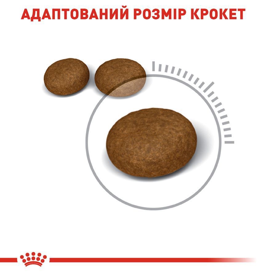 Сухий корм для котів Royal Canin Hair & Skin 400 г Сухий корм для котів Royal Canin Hair & Skin 400 г