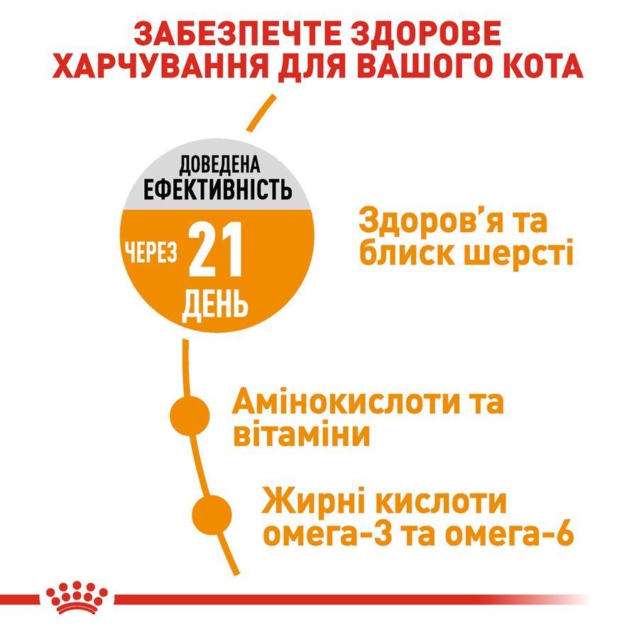 Сухий корм для котів Royal Canin Hair & Skin 400 г Сухий корм для котів Royal Canin Hair & Skin 400 г