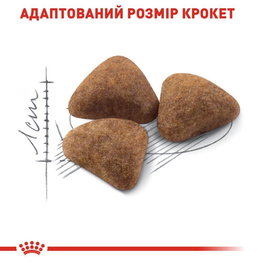 Сухий корм для котів Royal Canin Home Life Indoor 27 400 г