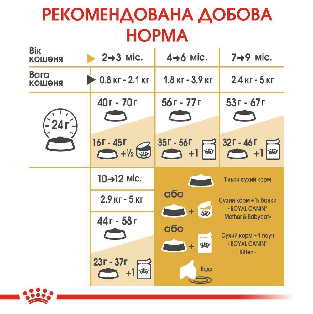 Сухий корм для кошенят Royal Canin Kitten British Shorthair 400 г Сухий корм для кошенят Royal Canin Kitten British Shorthair 400 г