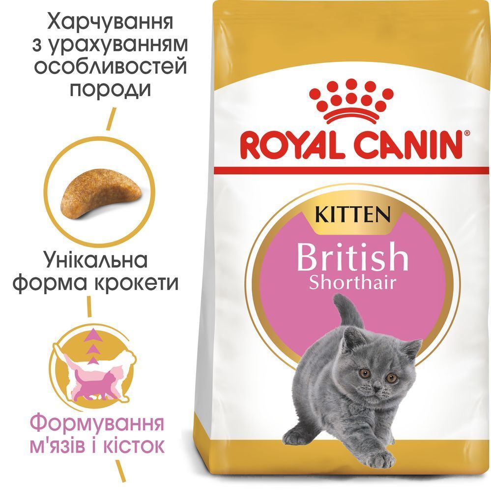 Сухий корм для кошенят Royal Canin Kitten British Shorthair 400 г Сухий корм для кошенят Royal Canin Kitten British Shorthair 400 г