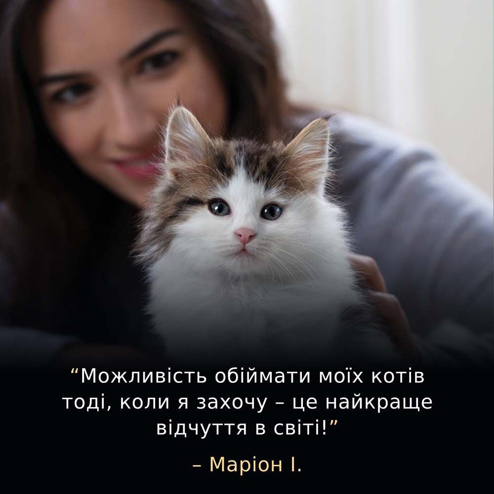 Сухой корм для котят Pro Plan LiveClear Kitten 1,4 кг - индейка Сухой корм для котят Pro Plan LiveClear Kitten 1,4 кг - индейка