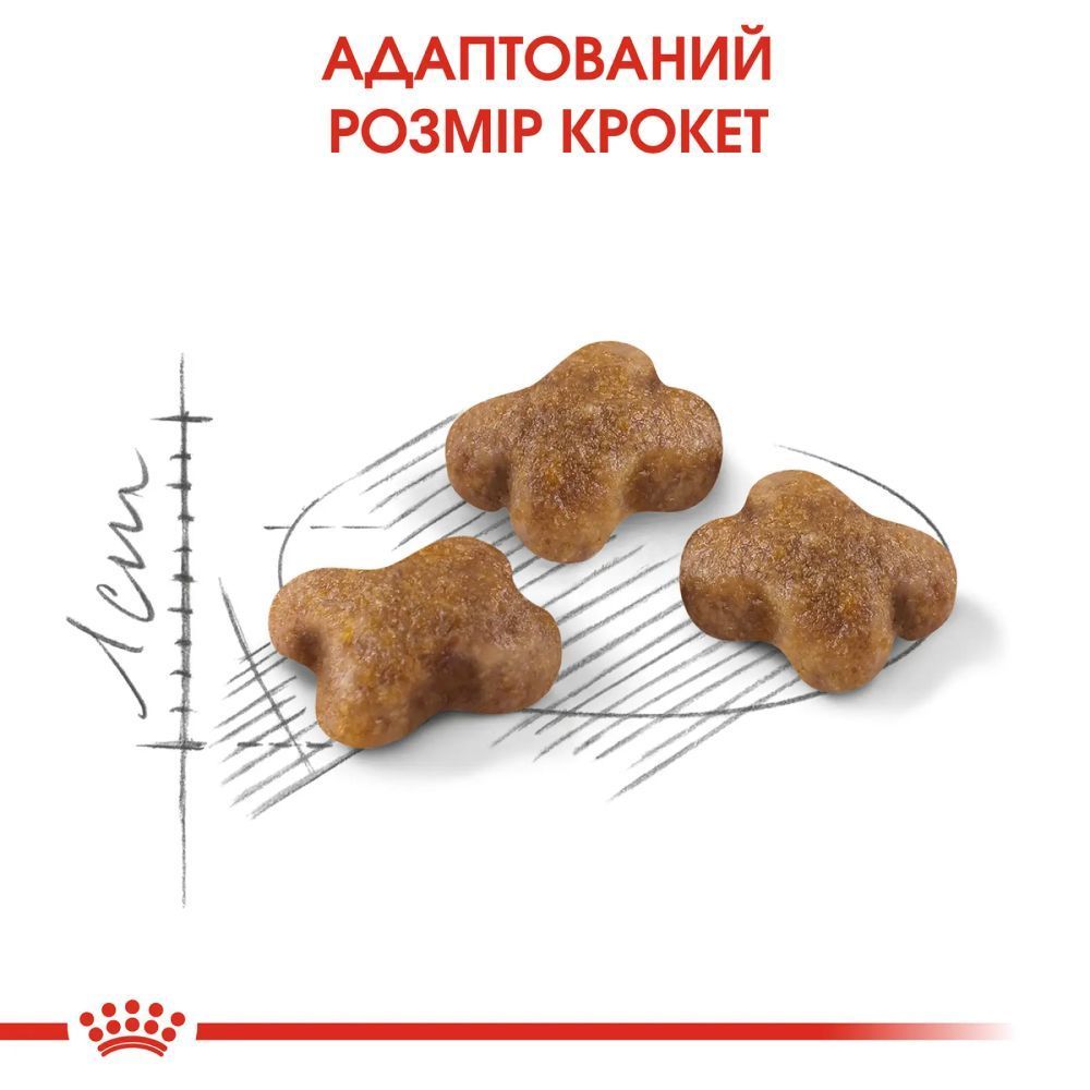 Сухий корм для кошенят Royal Canin Kitten 2 кг + 400 г