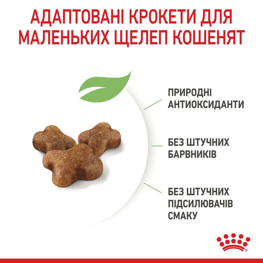 Сухий корм для кошенят Royal Canin Kitten 400 г