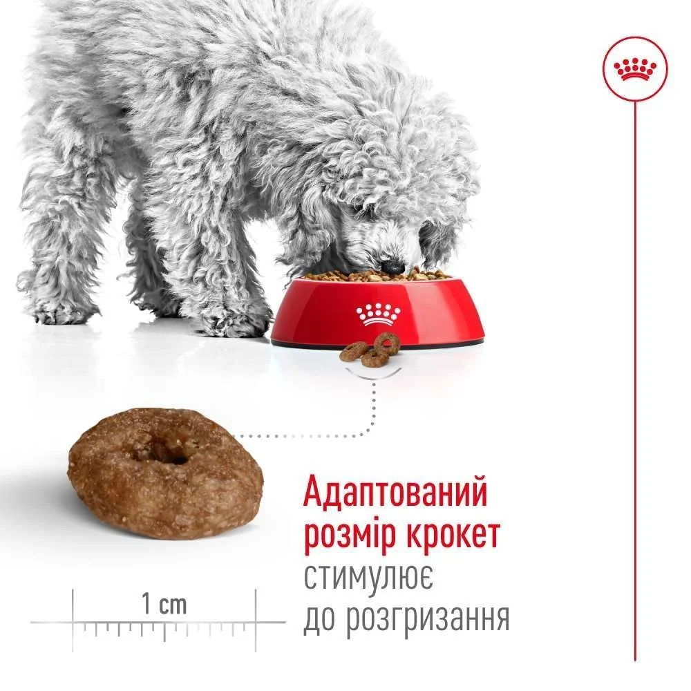 Сухой корм для собак Royal Canin Mini Ageing 12+ 800 г