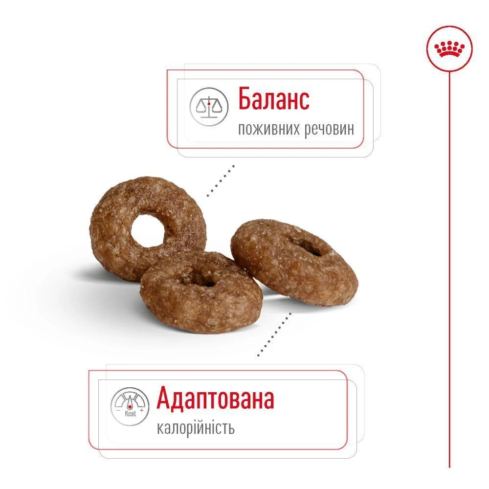 Сухой корм для собак Royal Canin Mini Ageing 12+ 800 г