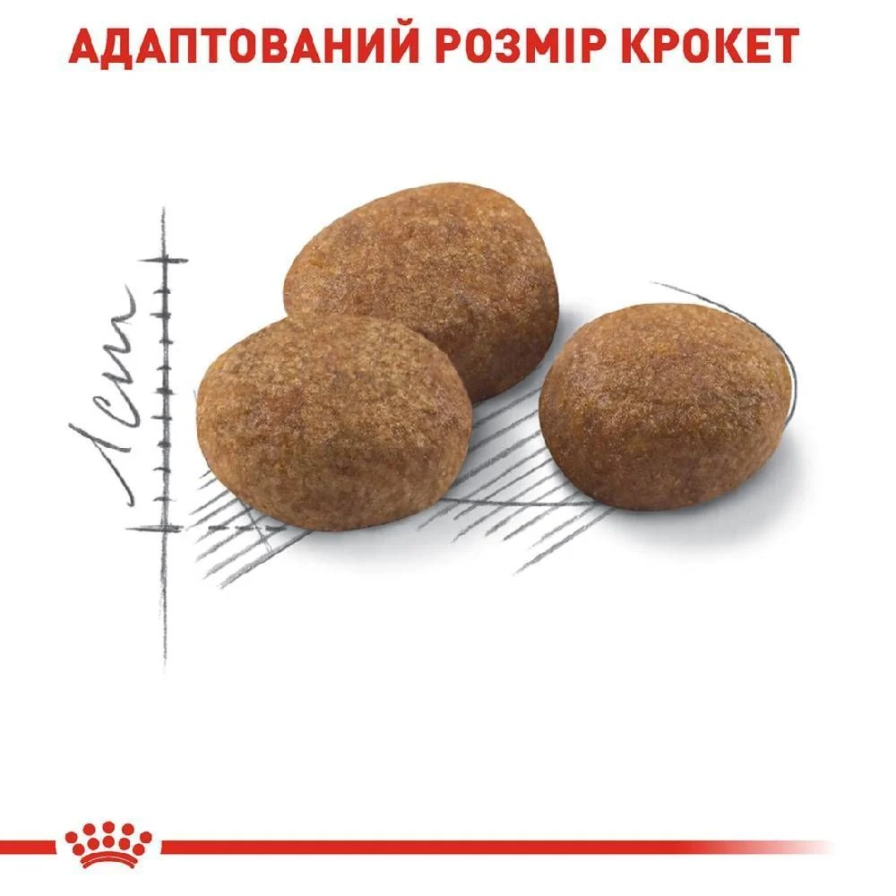 Сухий корм для котів Royal Canin Regular Sterilised 7+ 1,5 кг Сухий корм для котів Royal Canin Regular Sterilised 7+ 1,5 кг