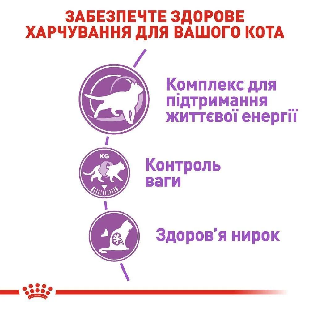 Сухий корм для котів Royal Canin Regular Sterilised 7+ 1,5 кг Сухий корм для котів Royal Canin Regular Sterilised 7+ 1,5 кг