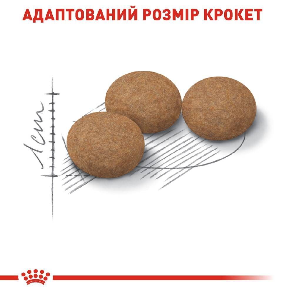 Сухий корм для котів Royal Canin Senior Sterilised Ageing 12+ 2 кг Сухий корм для котів Royal Canin Senior Sterilised Ageing 12+ 2 кг