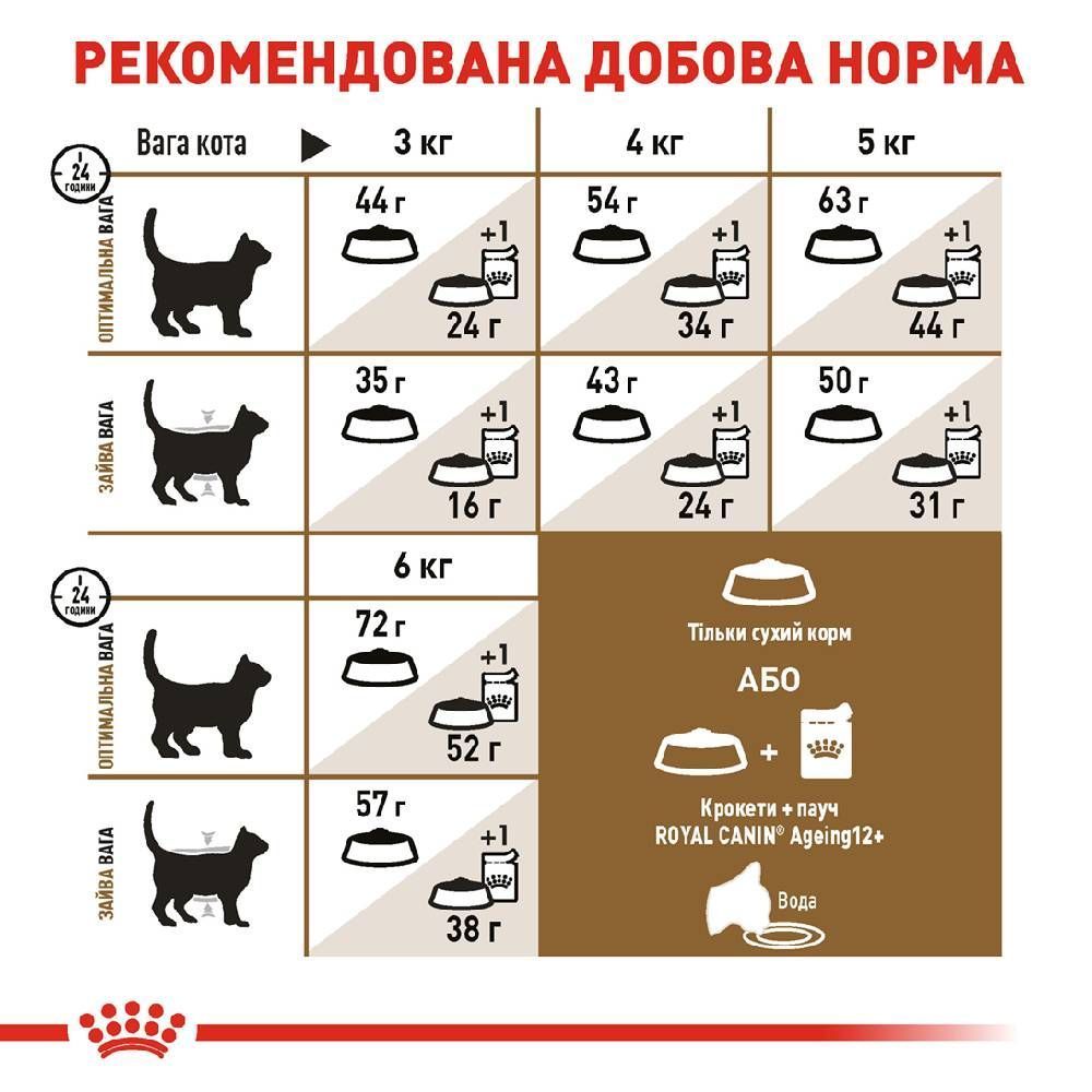 Сухий корм для котів Royal Canin Senior Sterilised Ageing 12+ 2 кг Сухий корм для котів Royal Canin Senior Sterilised Ageing 12+ 2 кг
