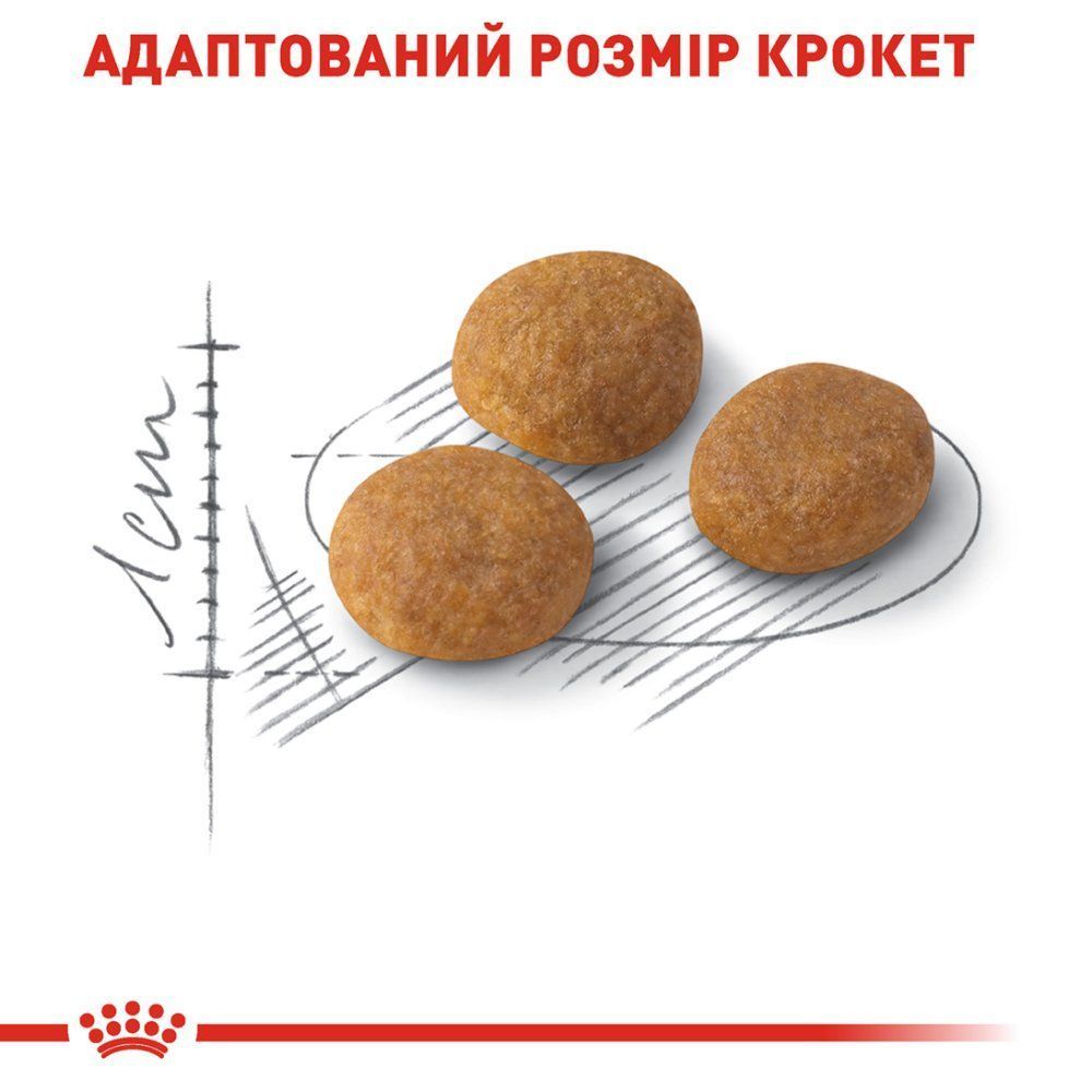 Сухой корм для кошек Royal Canin Aroma Exigent 2 кг