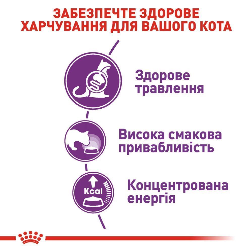 Сухий корм для котів Royal Canin Regular Sensible 33 400 г Сухий корм для котів Royal Canin Regular Sensible 33 400 г