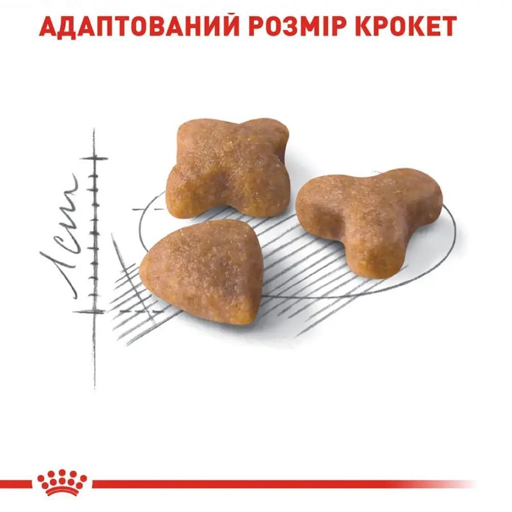 Сухой корм для кошек Royal Canin Sensible 33 8 кг + 2 кг