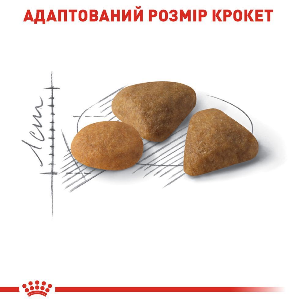 Сухой корм для кошек Royal Canin Savour Exigent 400 г
