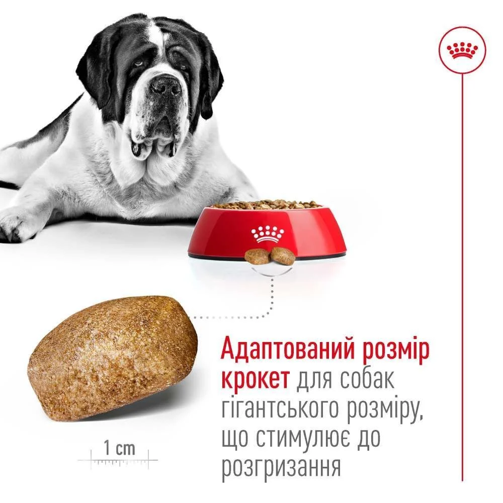 Сухий корм для собак Royal Canin Giant Adult 15 кг
