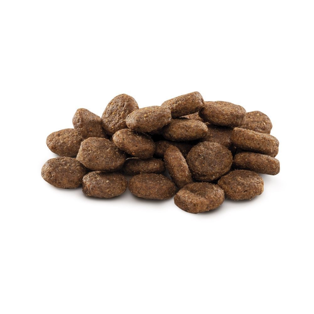 Cухий корм для цуценят Brit Premium Dog Junior L 15 кг – курка