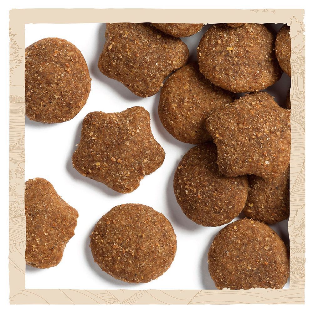 Cухий корм для цуценят Dog Chow Puppy Large Breed 14 кг - індичка