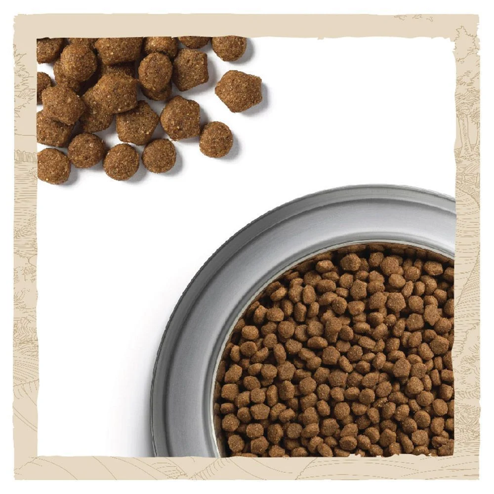 Cухий корм для цуценят Dog Chow Puppy Large Breed 14 кг - індичка