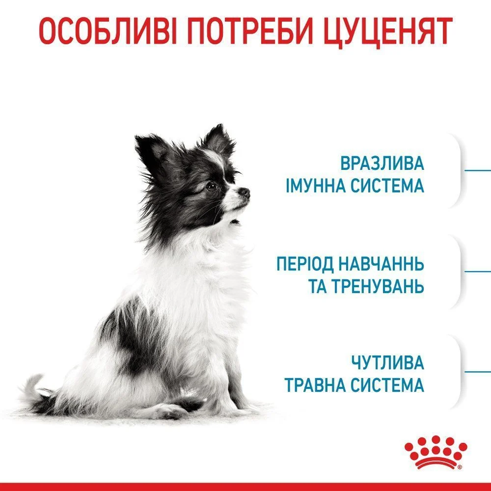 Cухий корм для цуценят Royal Canin X-Small Puppy 3 кг