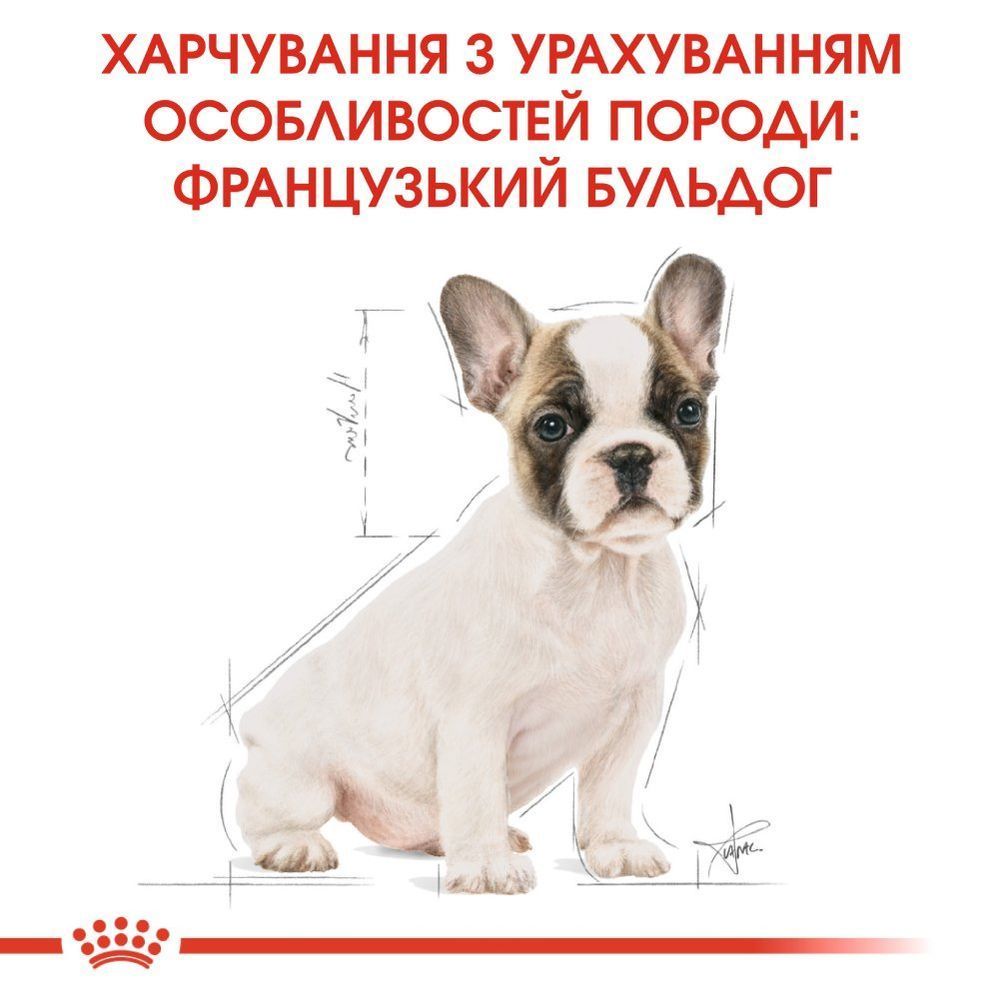 Сухой корм для щенков Royal Canin French Bulldog Puppy 1 кг