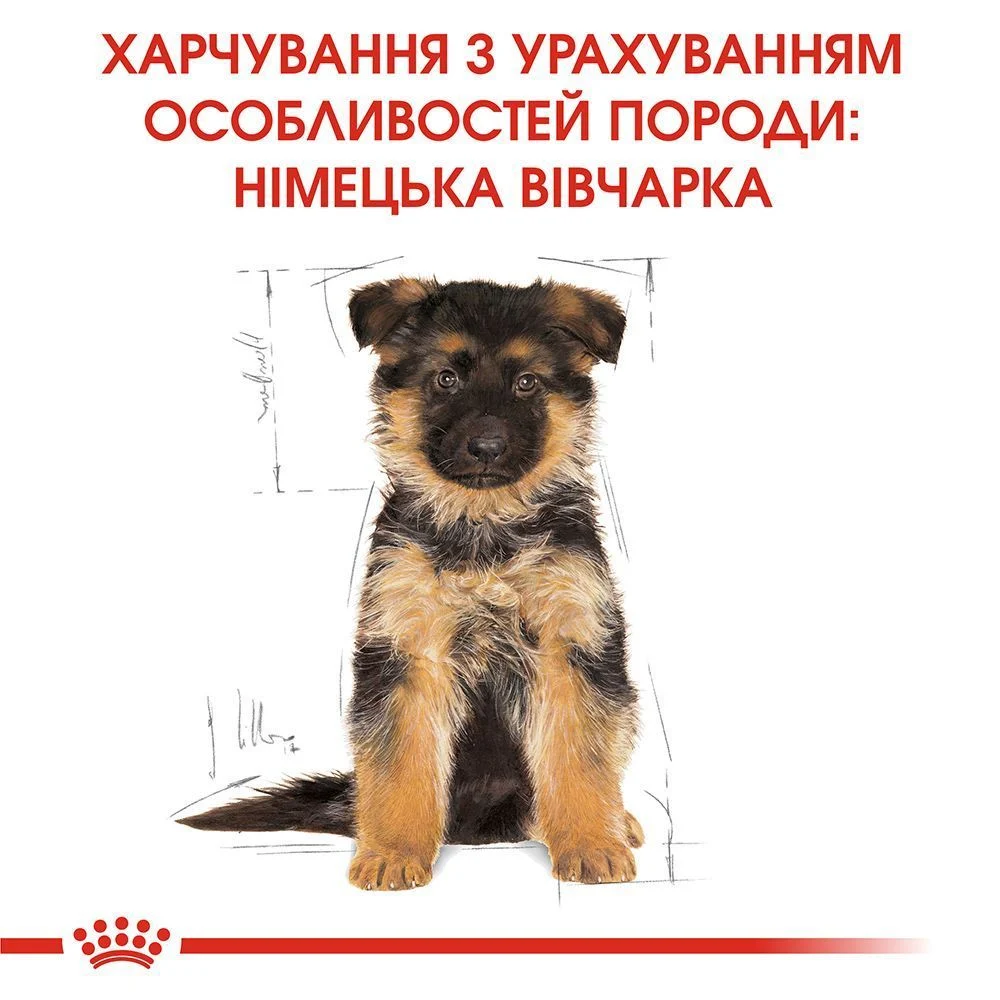 Сухий корм для цуценят Royal Canin German Shepherd Puppy 3 кг Сухий корм для цуценят Royal Canin German Shepherd Puppy 3 кг