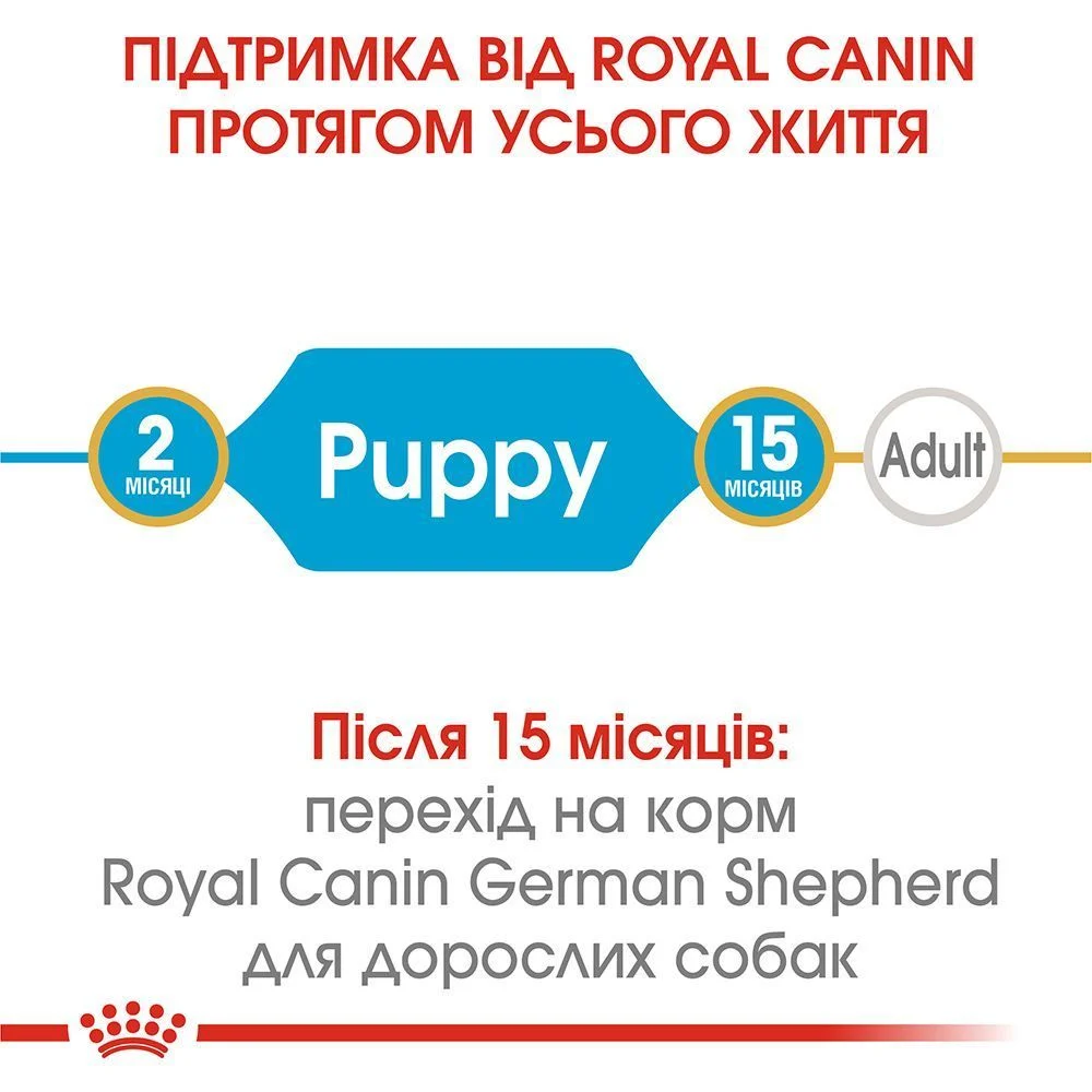 Сухий корм для цуценят Royal Canin German Shepherd Puppy 3 кг Сухий корм для цуценят Royal Canin German Shepherd Puppy 3 кг