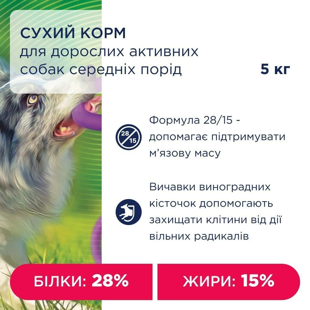 Club 4 Paws Adult Active Medium Breeds сухой корм для собак 5 кг - курица