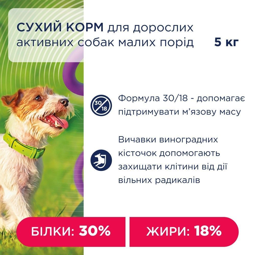 Сухий корм для собак Club 4 Paws Adult Active Small Breeds 5 кг - курка Сухий корм для собак Club 4 Paws Adult Active Small Breeds 5 кг - курка