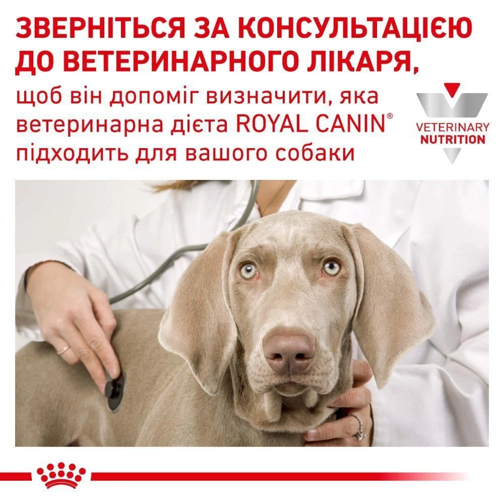 Сухой корм для собак Royal Canin Urinary S/O 2 кг