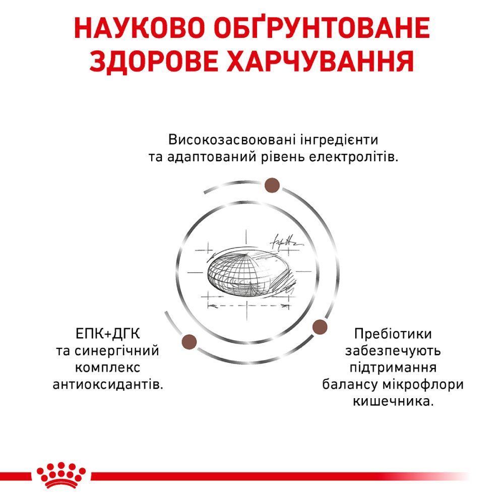 Сухий корм для собак Royal Canin Gastrointestinal 2 кг Сухий корм для собак Royal Canin Gastrointestinal 2 кг