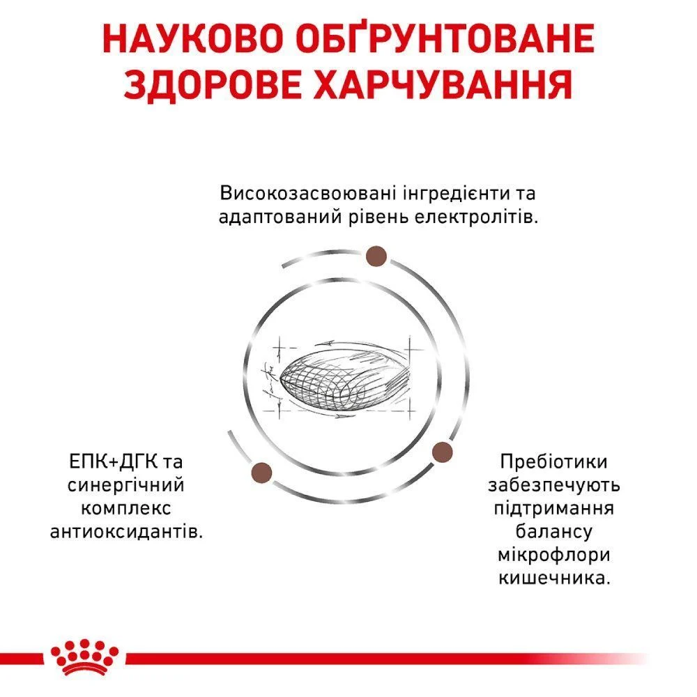 Сухий корм для собак Royal Canin Gastrointestinal Low Fat 1,5 кг Сухий корм для собак Royal Canin Gastrointestinal Low Fat 1,5 кг