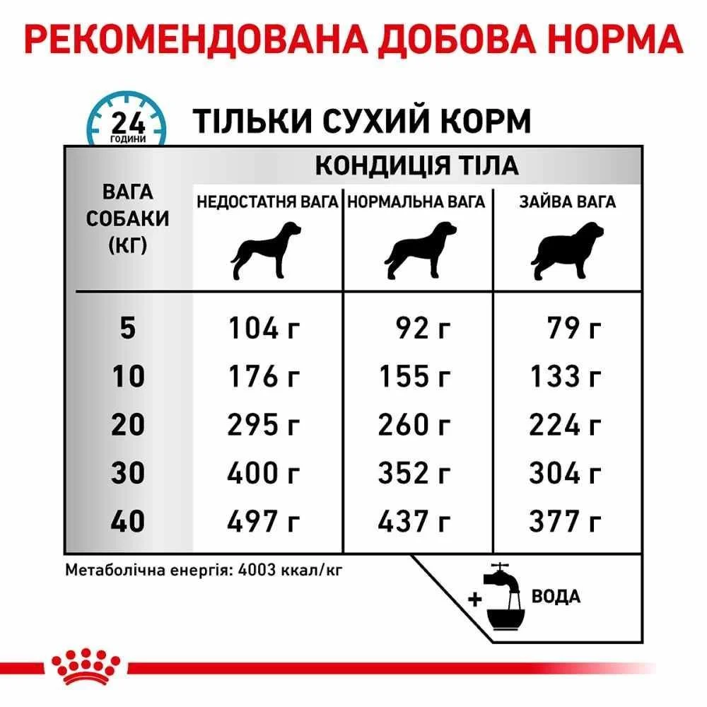 Cухий корм для собак Royal Canin Anallergenic 3 кг