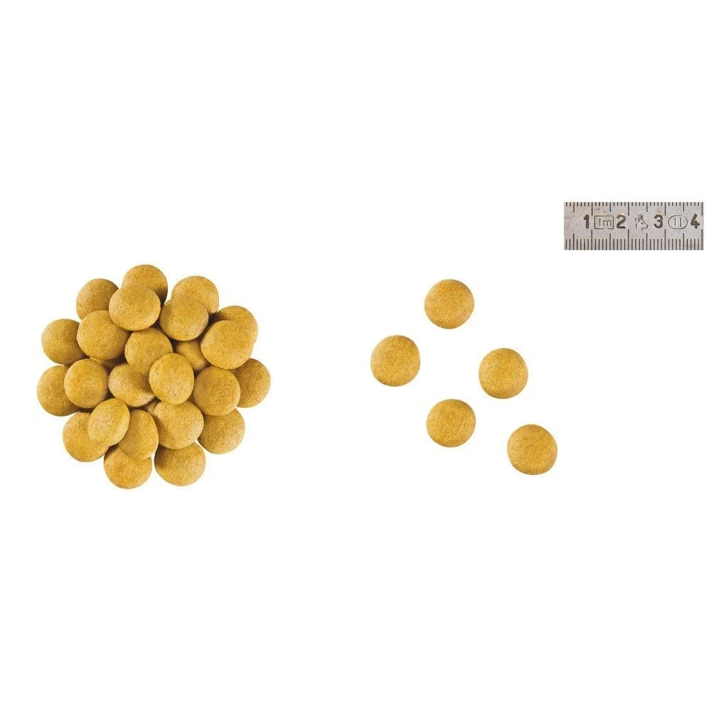 Cухий корм для собак Royal Canin Anallergenic 3 кг