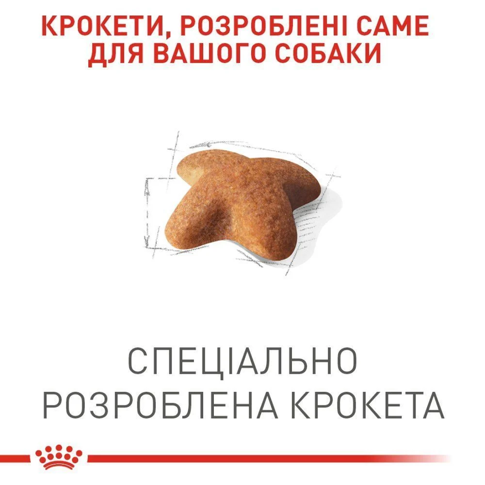 Сухий корм для собак Royal Canin Beagle Adult 3 кг