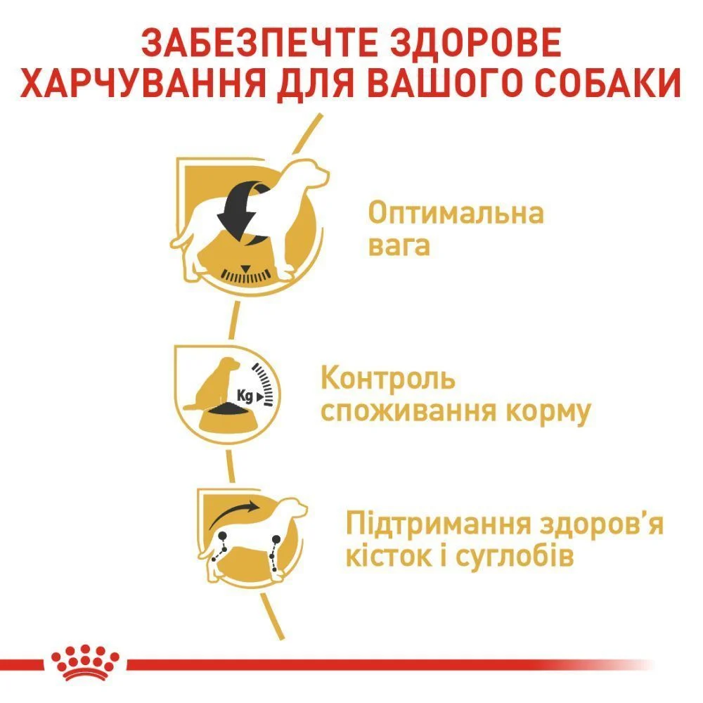 Сухий корм для собак Royal Canin Beagle Adult 3 кг