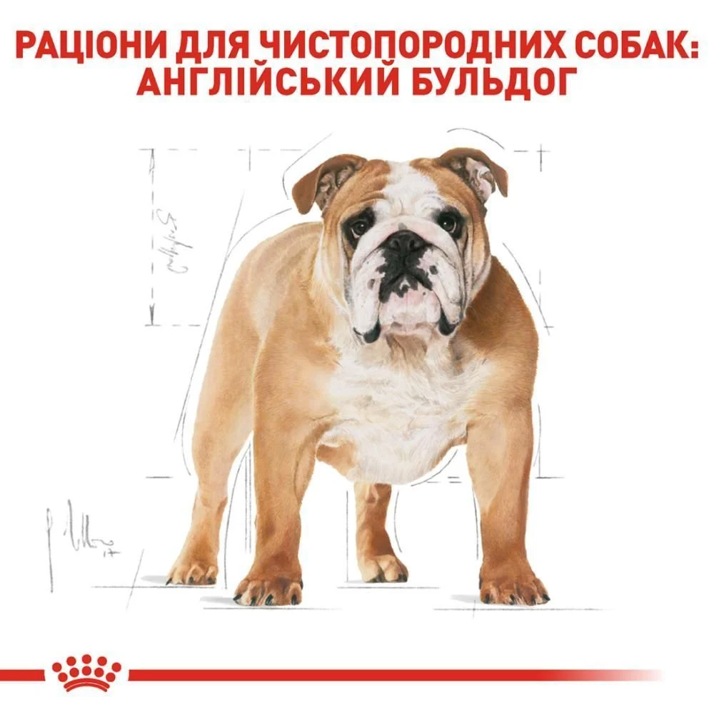 Сухий корм для собак Royal Canin Bulldog Adult 12 кг