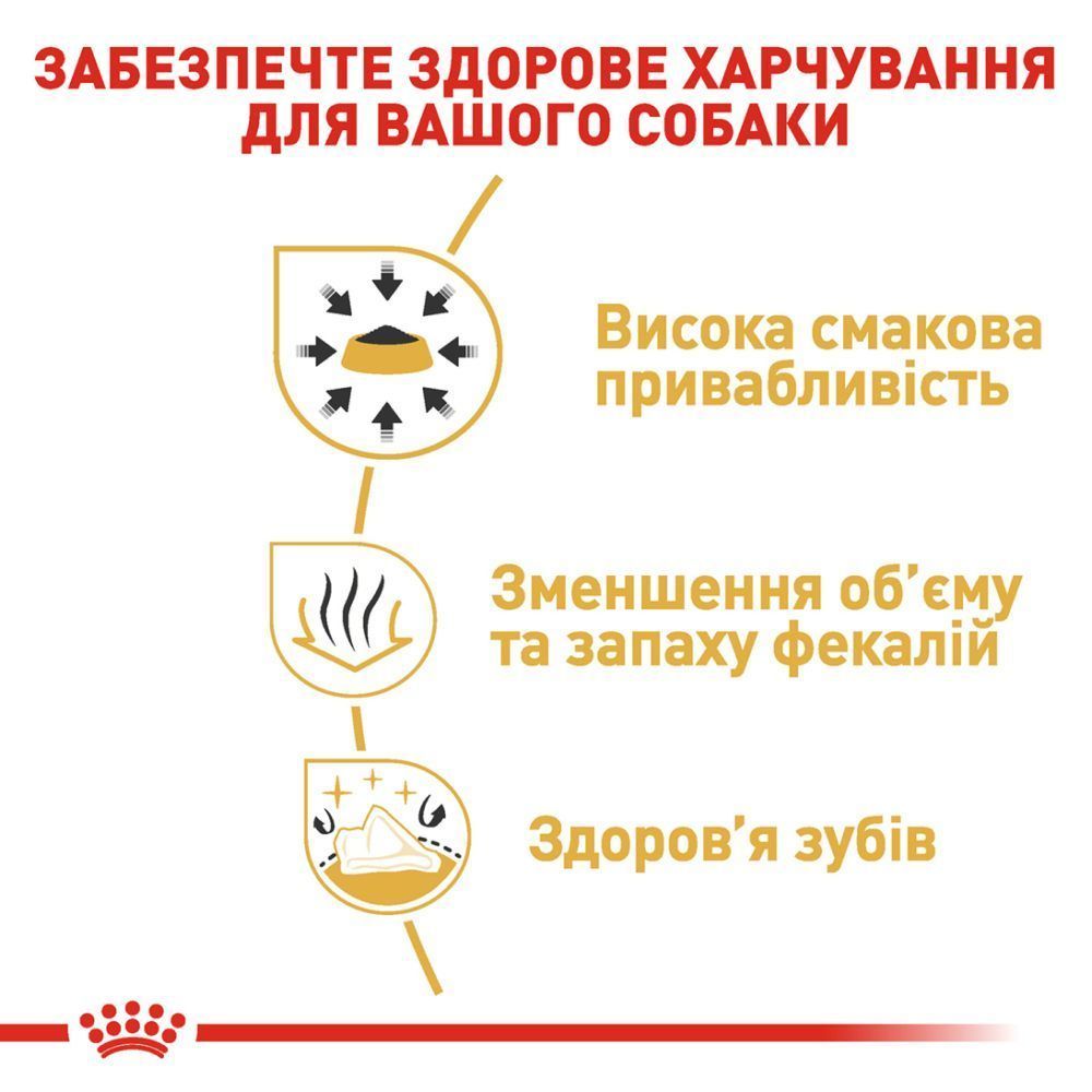 Сухий корм для собак Royal Canin Chihuahua Adult 500 г Сухий корм для собак Royal Canin Chihuahua Adult 500 г