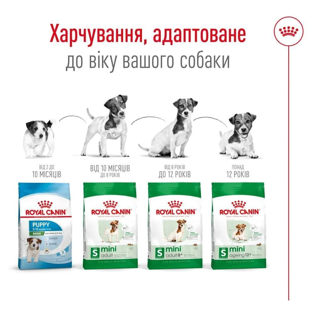Сухий корм для собак Royal Canin Mini Adult 800 г