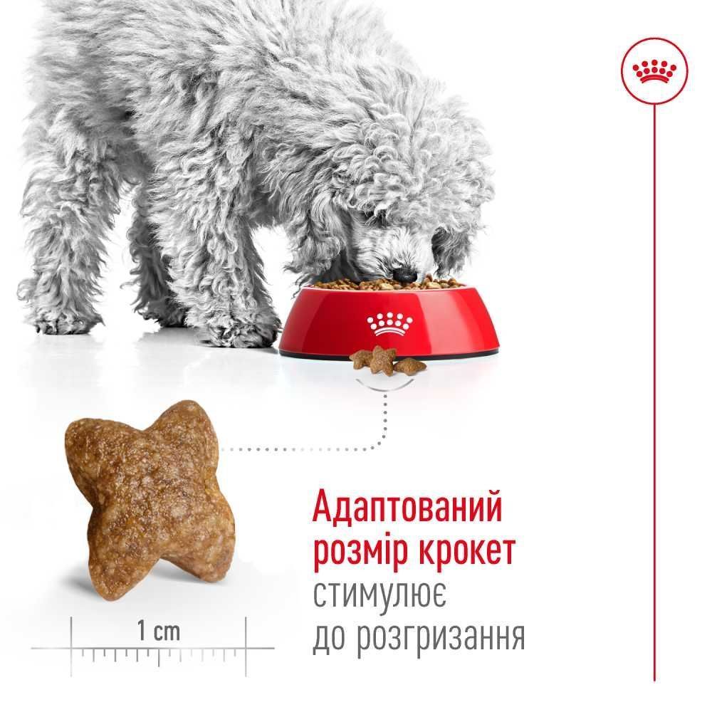 Сухий корм для собак Royal Canin Mini Adult 800 г