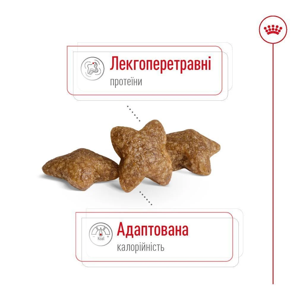 Сухий корм для собак Royal Canin Mini Adult 800 г
