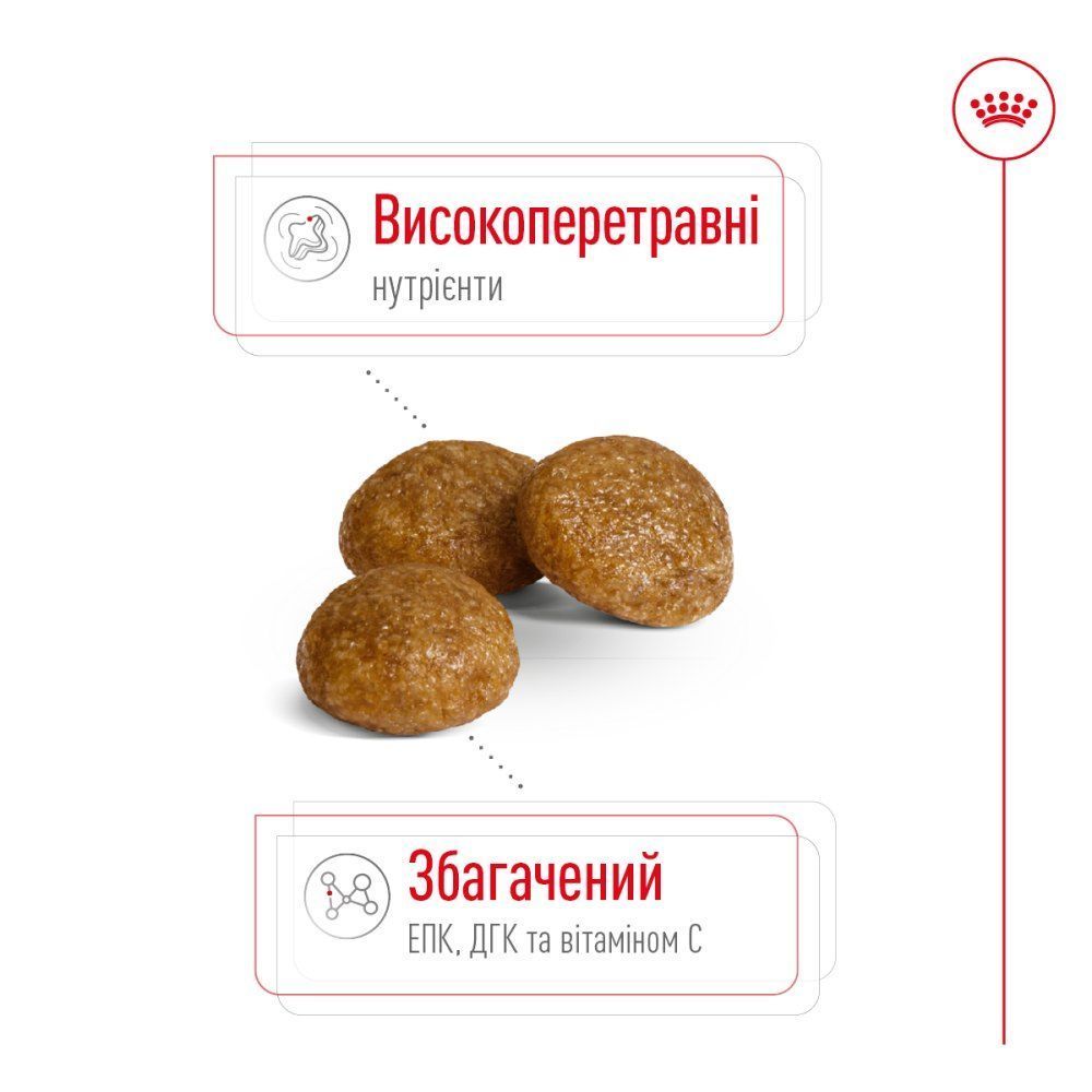 Cухий корм для собак Royal Canin X-Small Adult 1,5 кг
