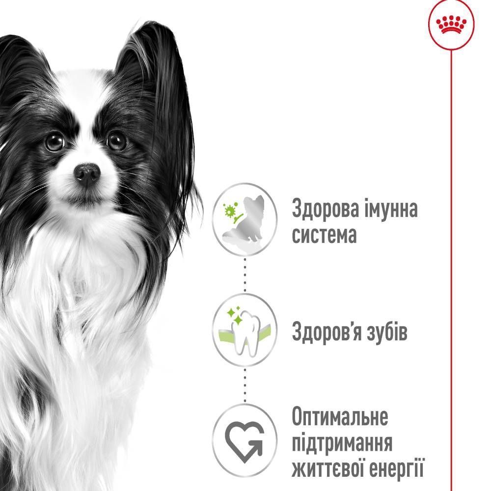 Cухий корм для собак Royal Canin X-Small Adult 1,5 кг