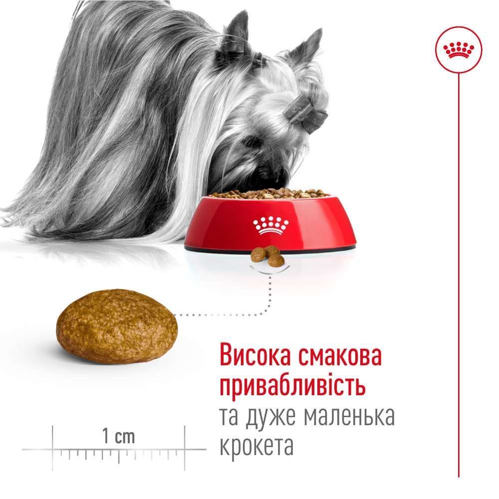 Cухий корм для собак Royal Canin X-Small Adult 1,5 кг