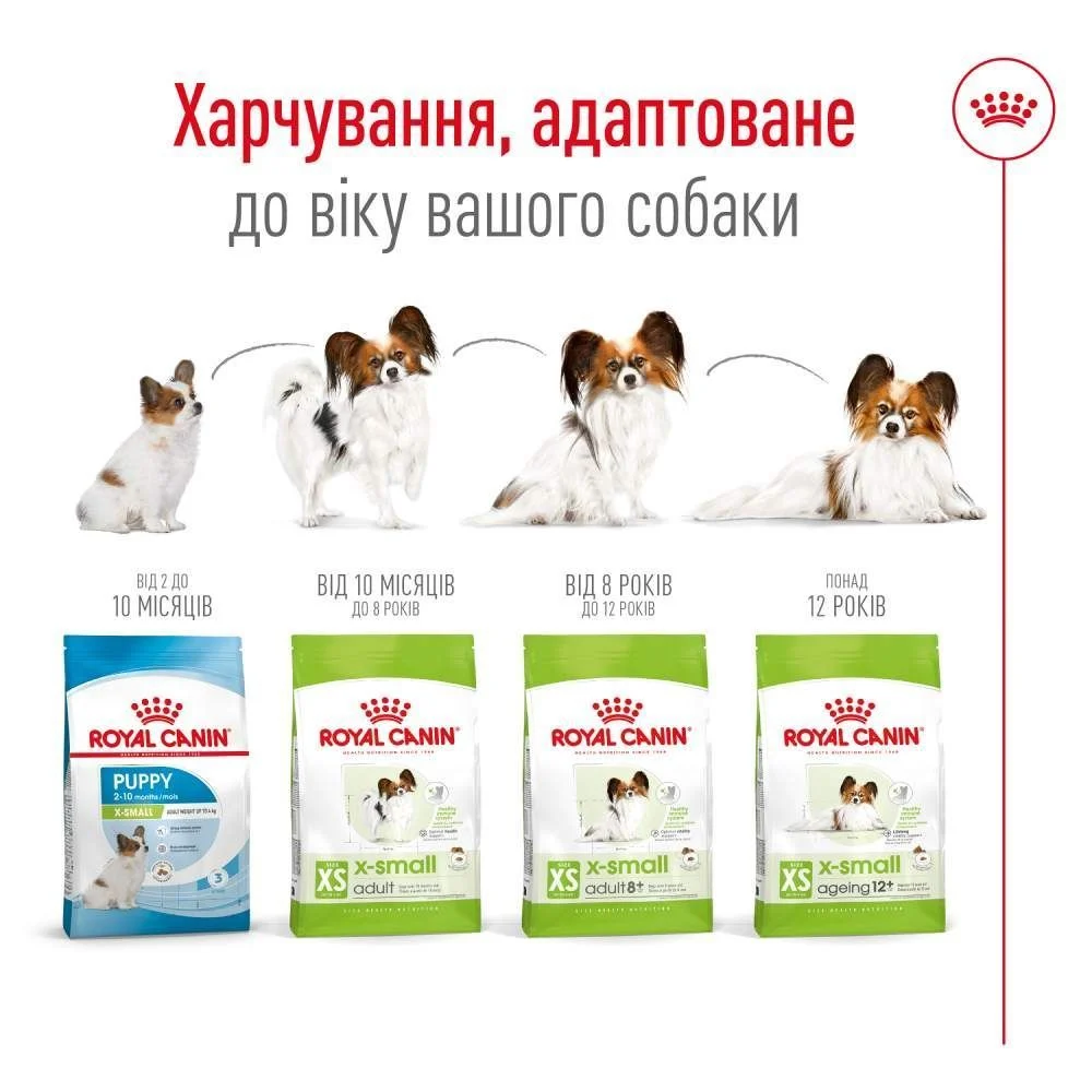 Cухий корм для собак Royal Canin X-Small Adult 500 г