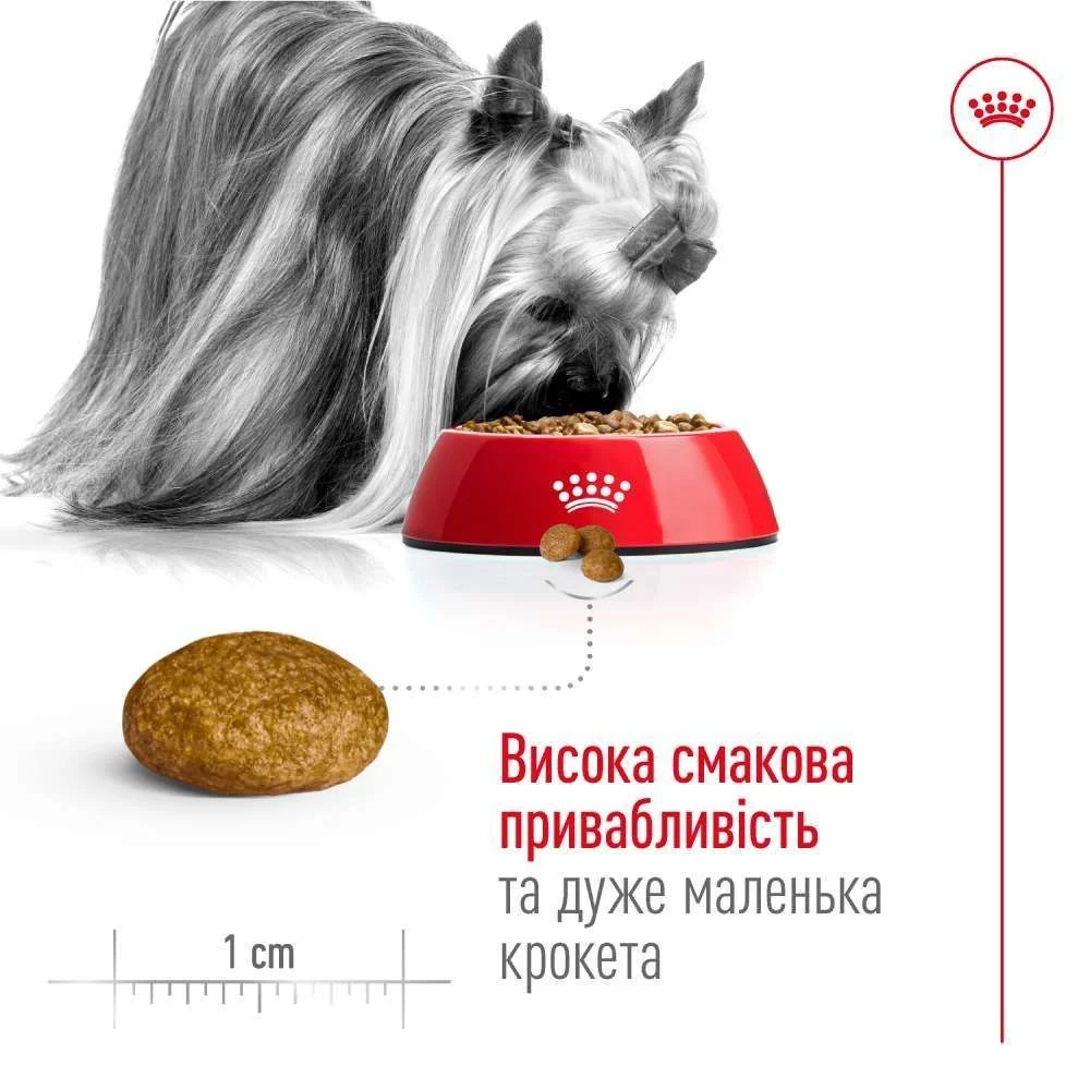 Cухий корм для собак Royal Canin X-Small Adult 8+ 3 кг