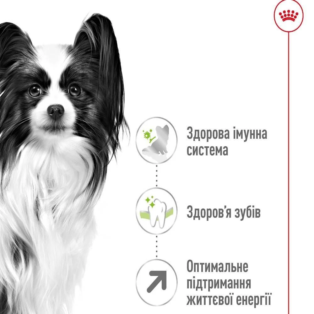 Cухий корм для собак Royal Canin X-Small Adult 8+ 3 кг
