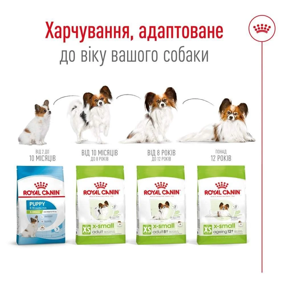 Cухий корм для собак Royal Canin X-Small Adult 8+ 3 кг